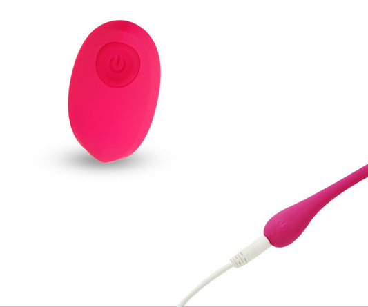 Remote Control Vibrator For Couples